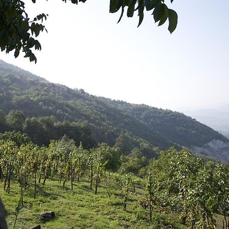 بادولا Fattoria Alvaneta المظهر الخارجي الصورة